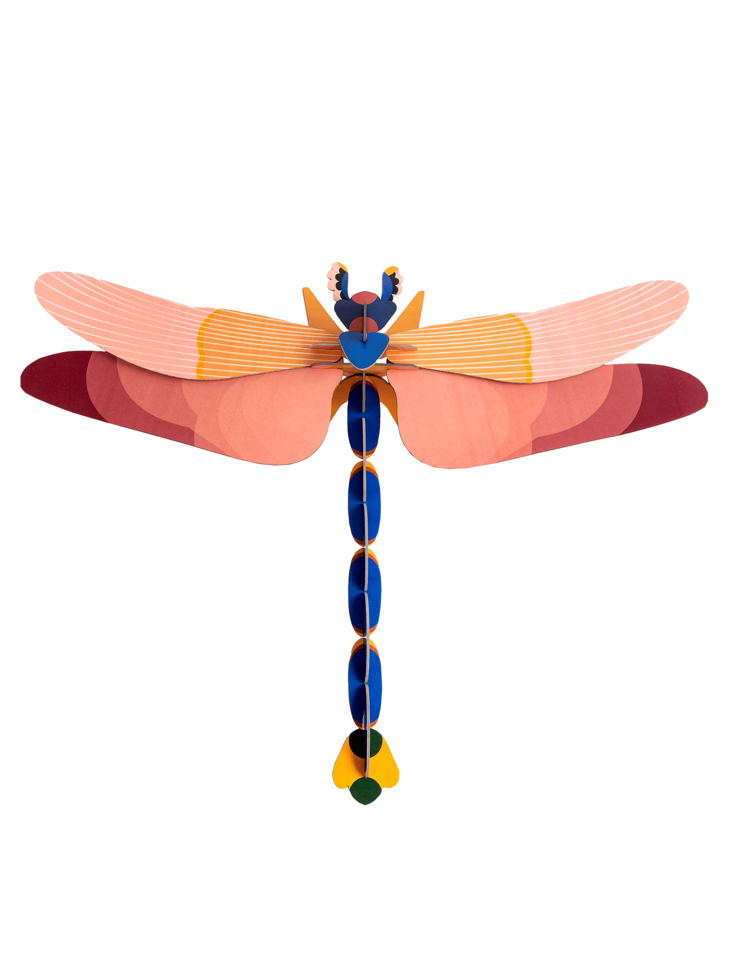 Big Insects - Pink Dragonfly