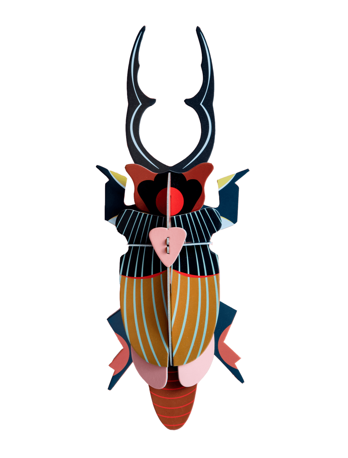 Big Insects - Giant Stag Beetle