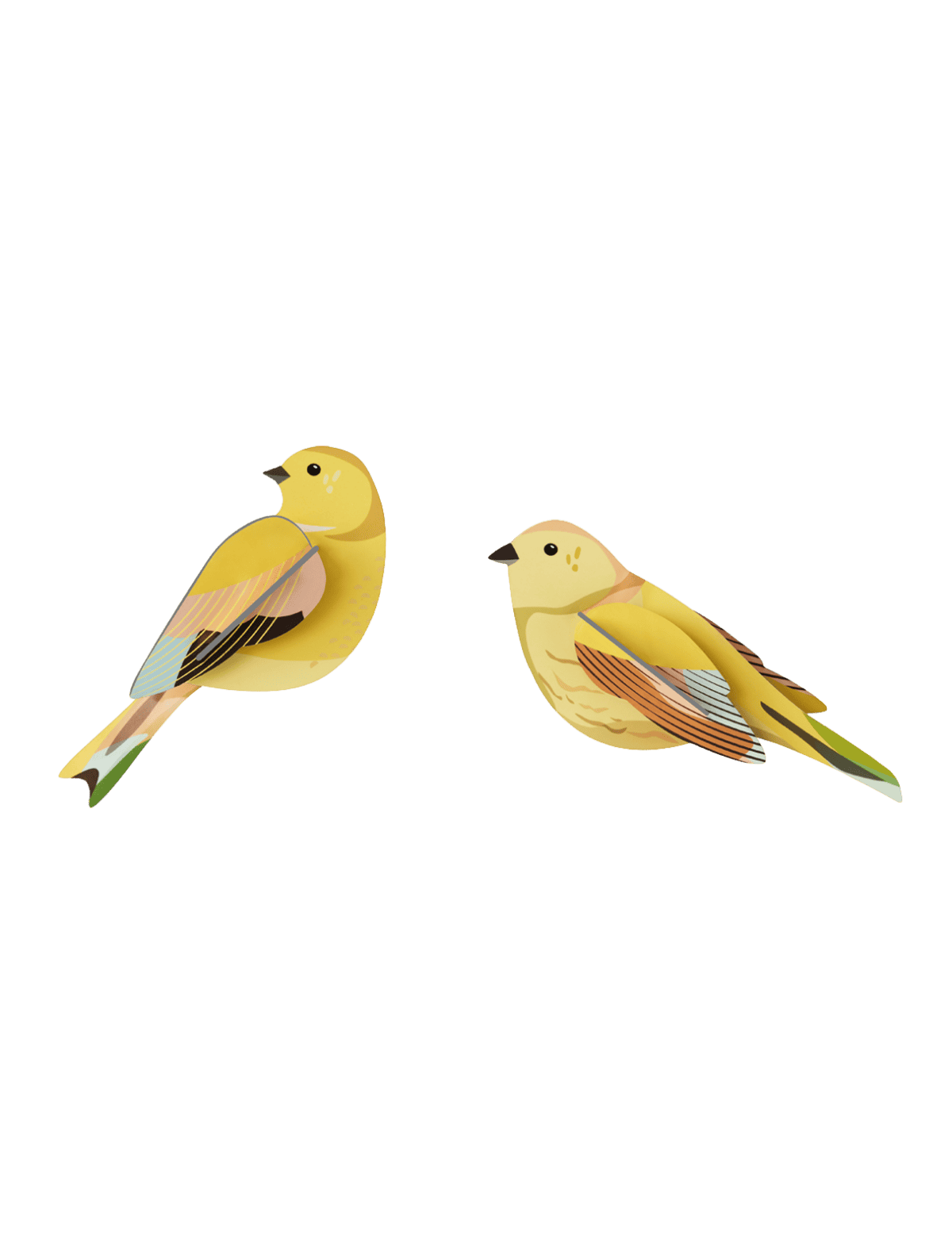 Studio Roof - Citrinella Pair