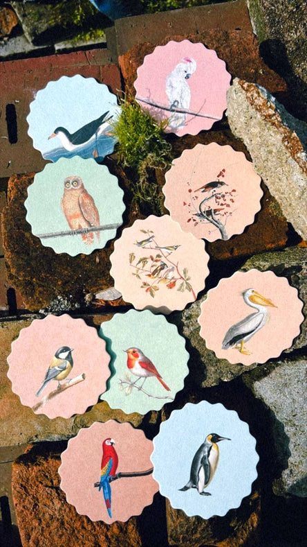 Juego de Posavasos 'Pájaros'