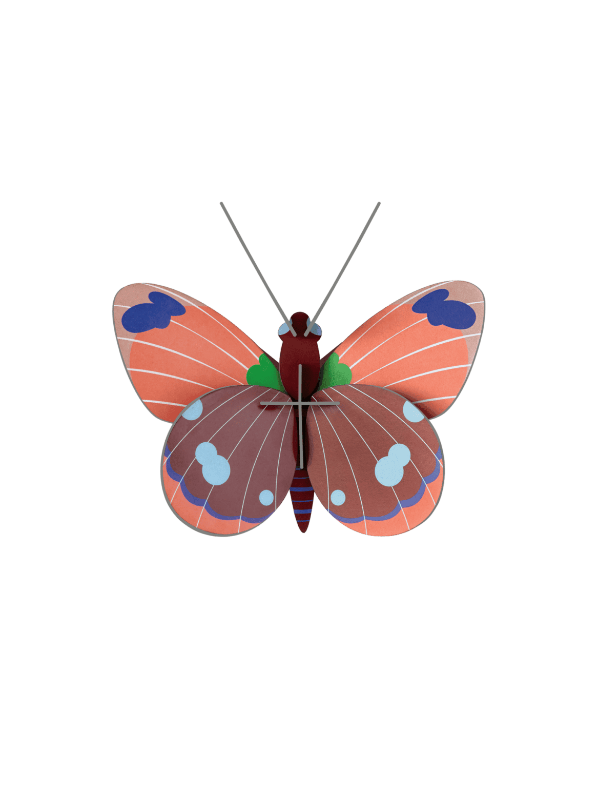 Small Insects - Delias Butterfly