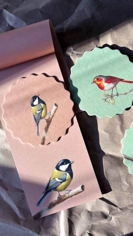 Juego de Posavasos 'Pájaros'