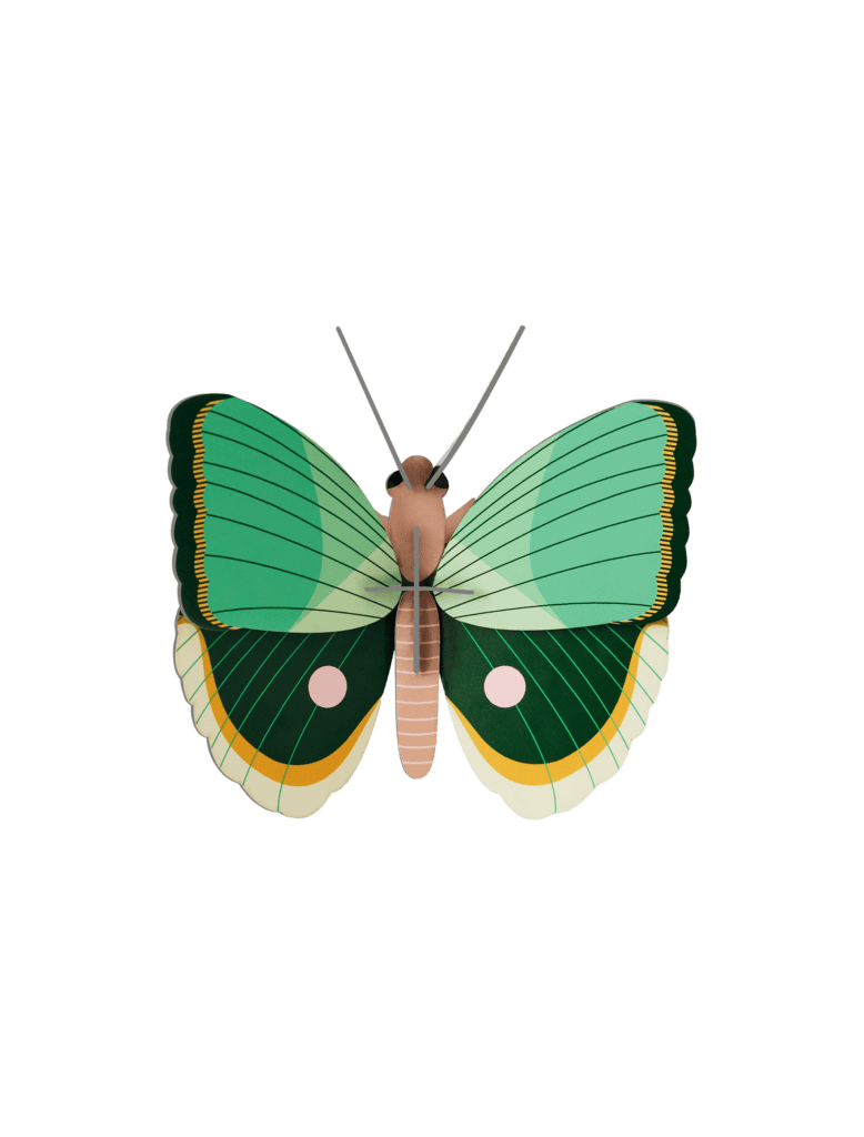Studio Roof - Fern Striped Butterfly