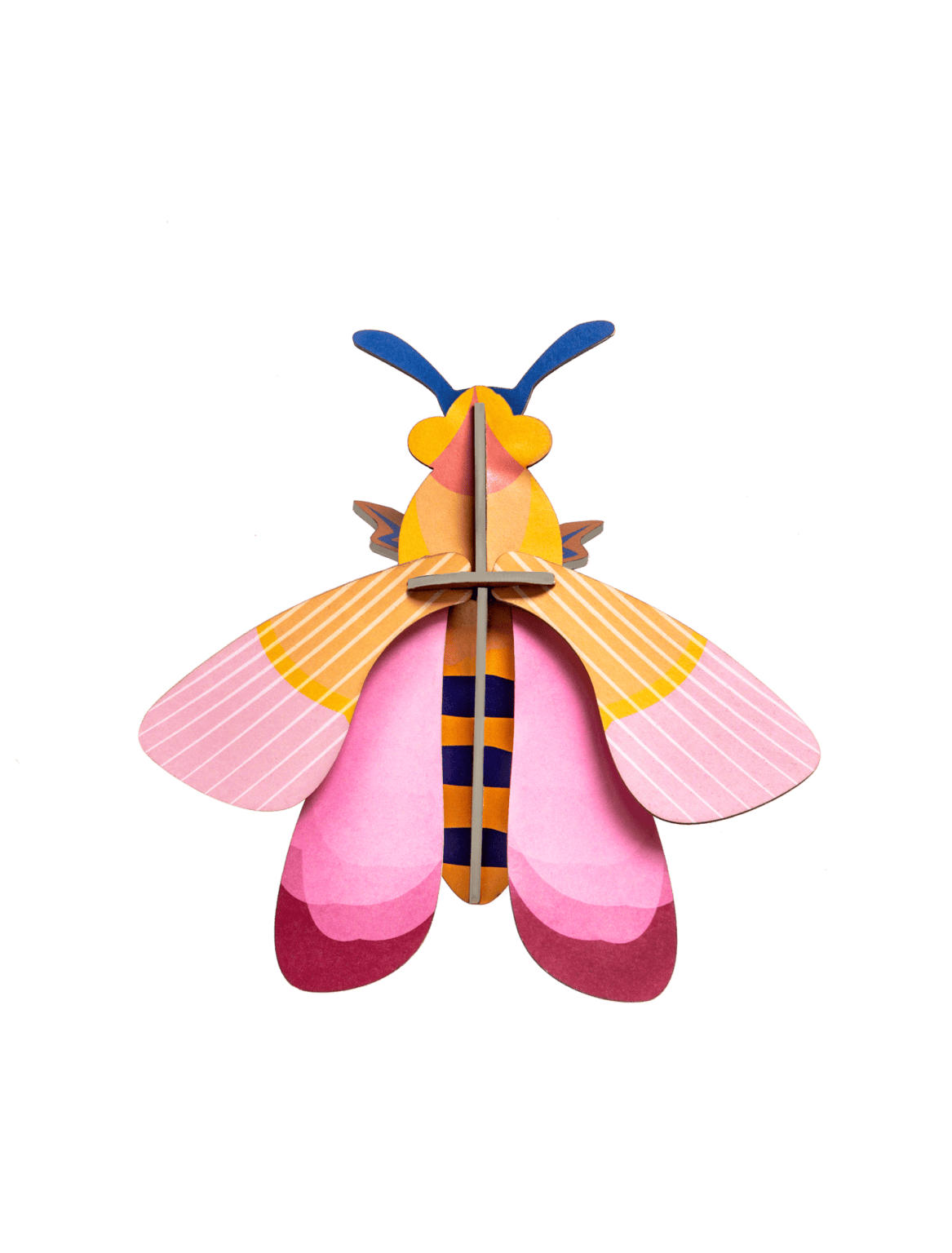 Small Insects - Pink bee