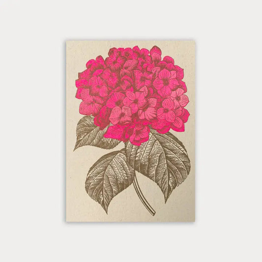 Postal Hortensia