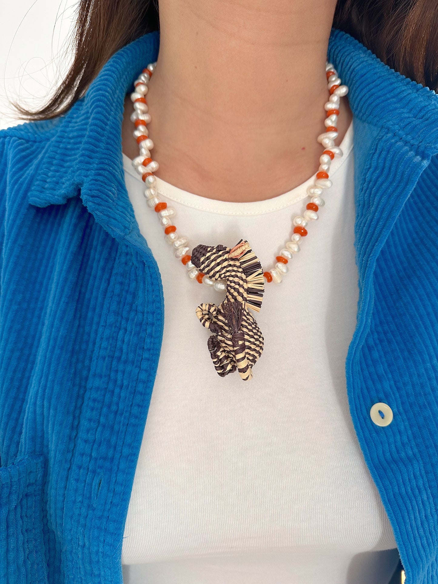 Collar Cebra