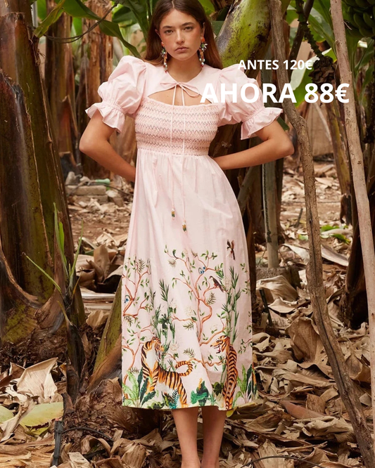 Vestido Dianora Rosa