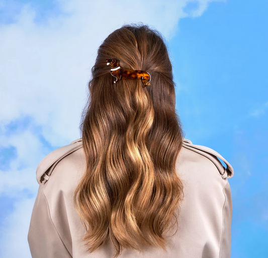 French barrette Teckel