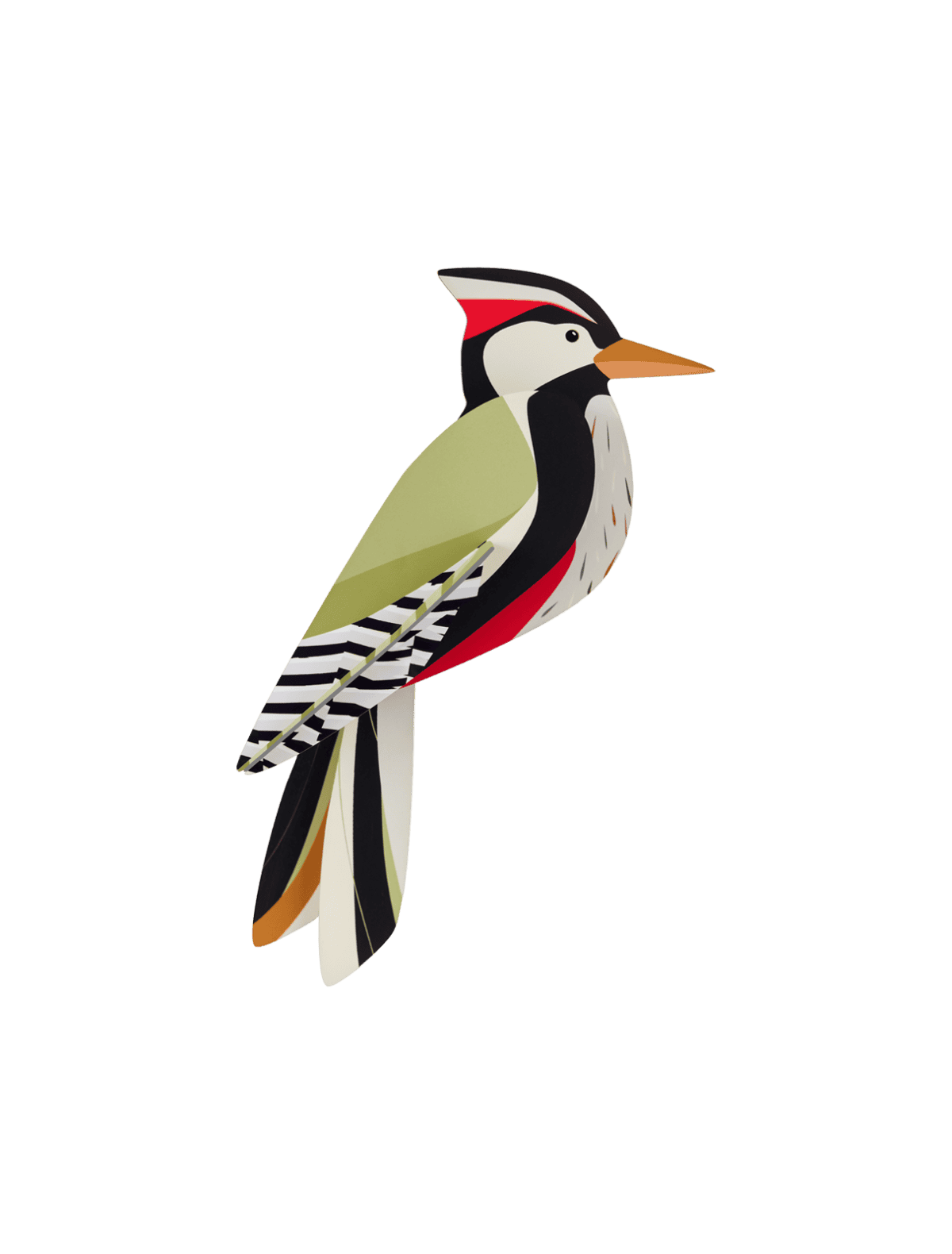 Studio Roof - Woodpecker