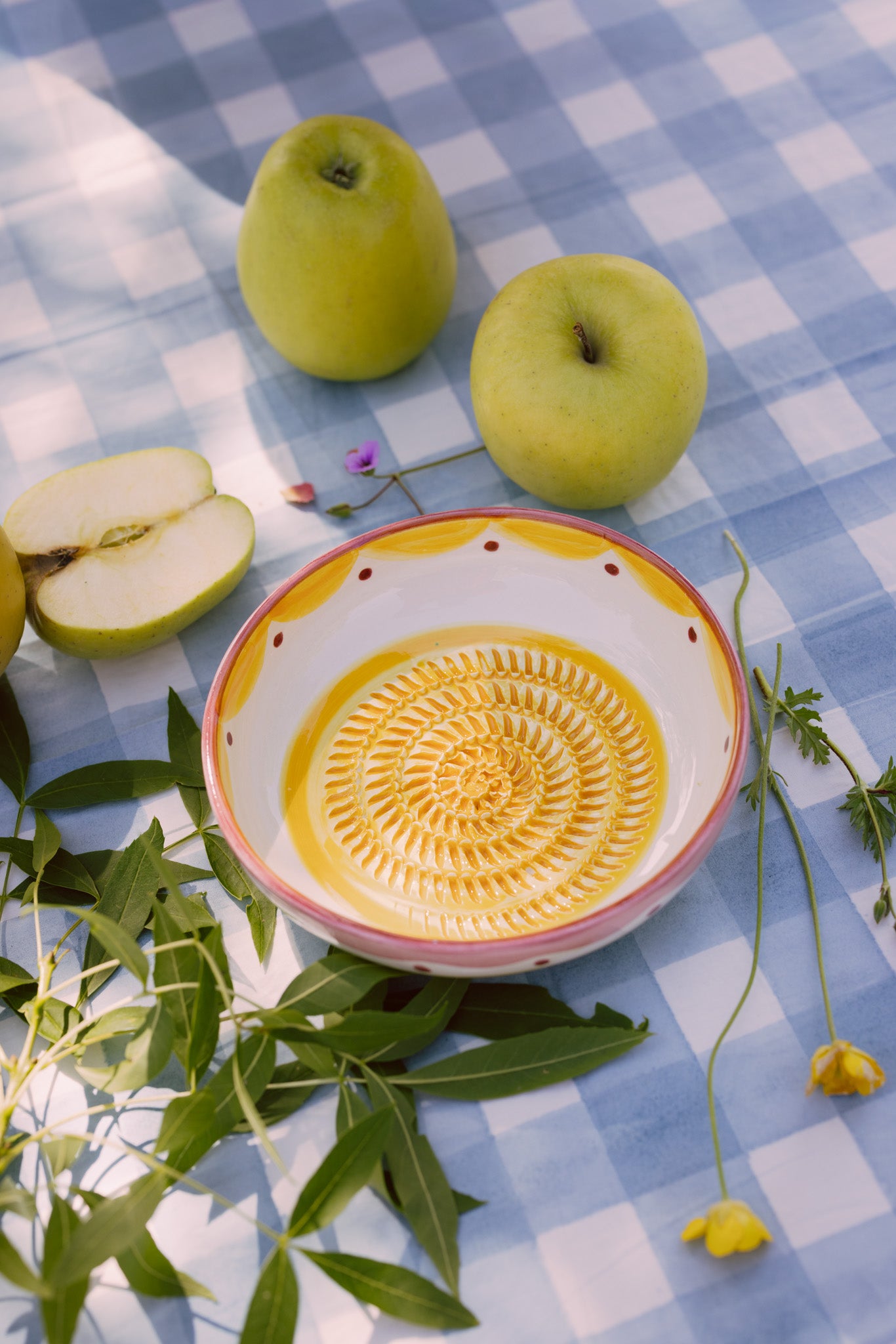 Plato rallador Sol