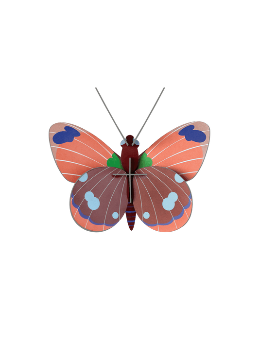 Studio Roof - Delias Butterfly