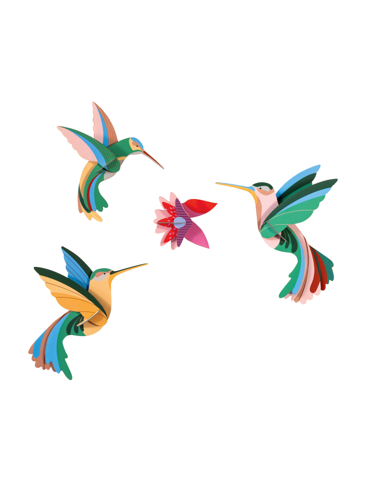 Studio Roof - Dance of Hummingbirds