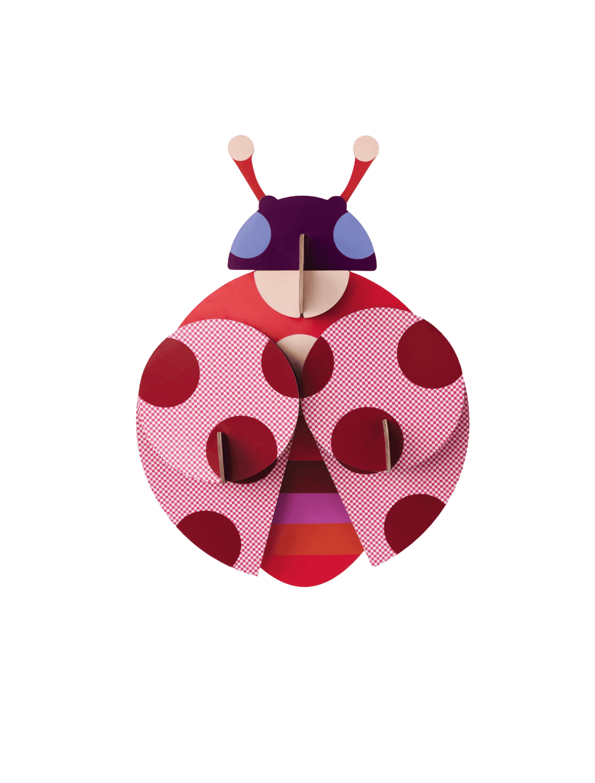 Studio Roof - Dotted Lady