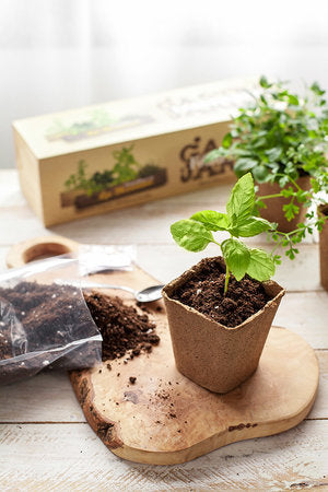 Kit de cultivo ecológico: Aromáticas de la Toscana (albahaca, tomillo, orégano y mejorana)