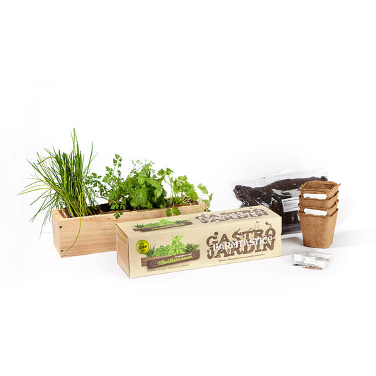Kit de cultivo ecológico: Aromáticas del Mediterráneo (albahaca, cilantro,perejil y cebollino)
