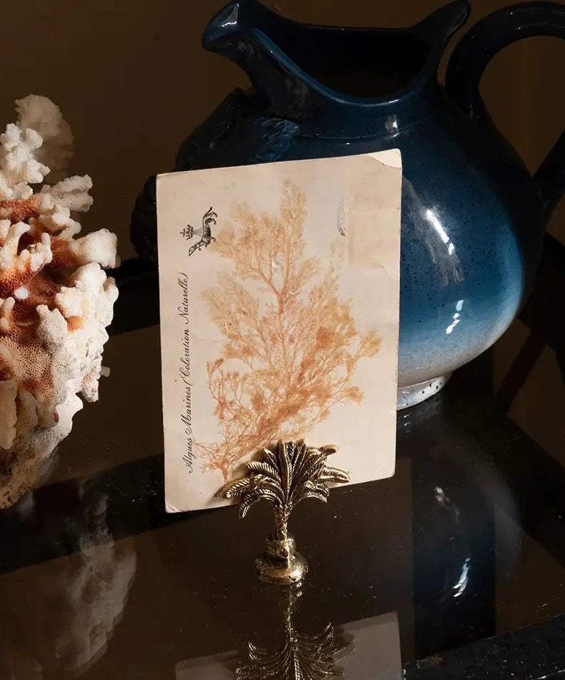 Palmera porta tarjetas