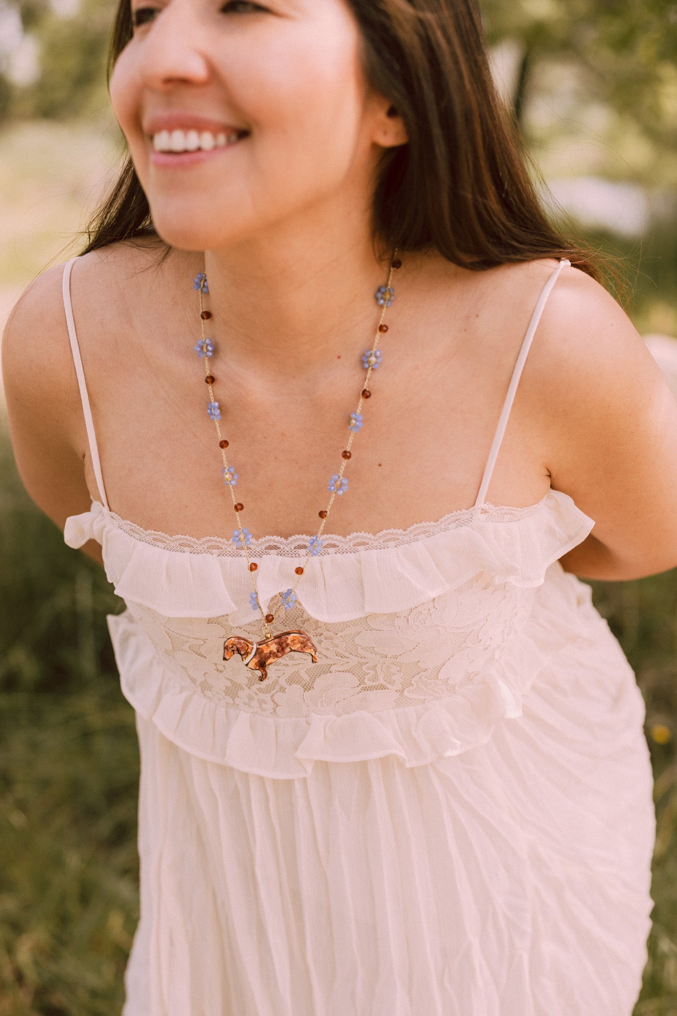 Collar Teckel
