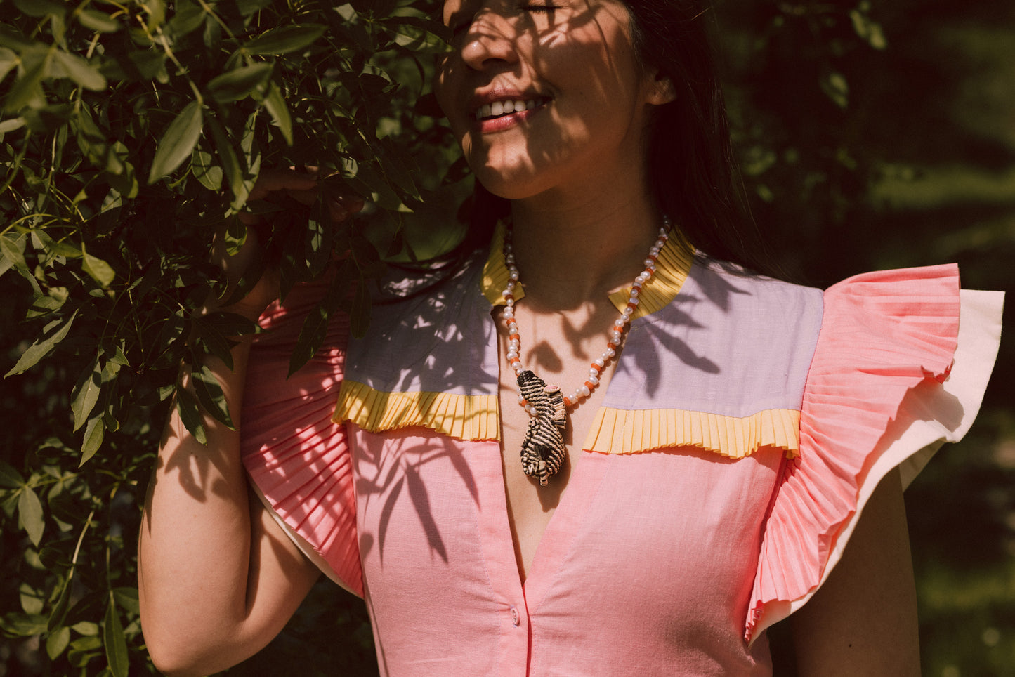 Collar Cebra