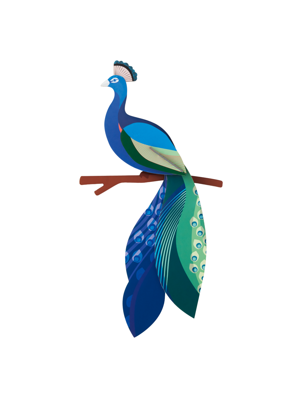 Studio Roof - Peacock