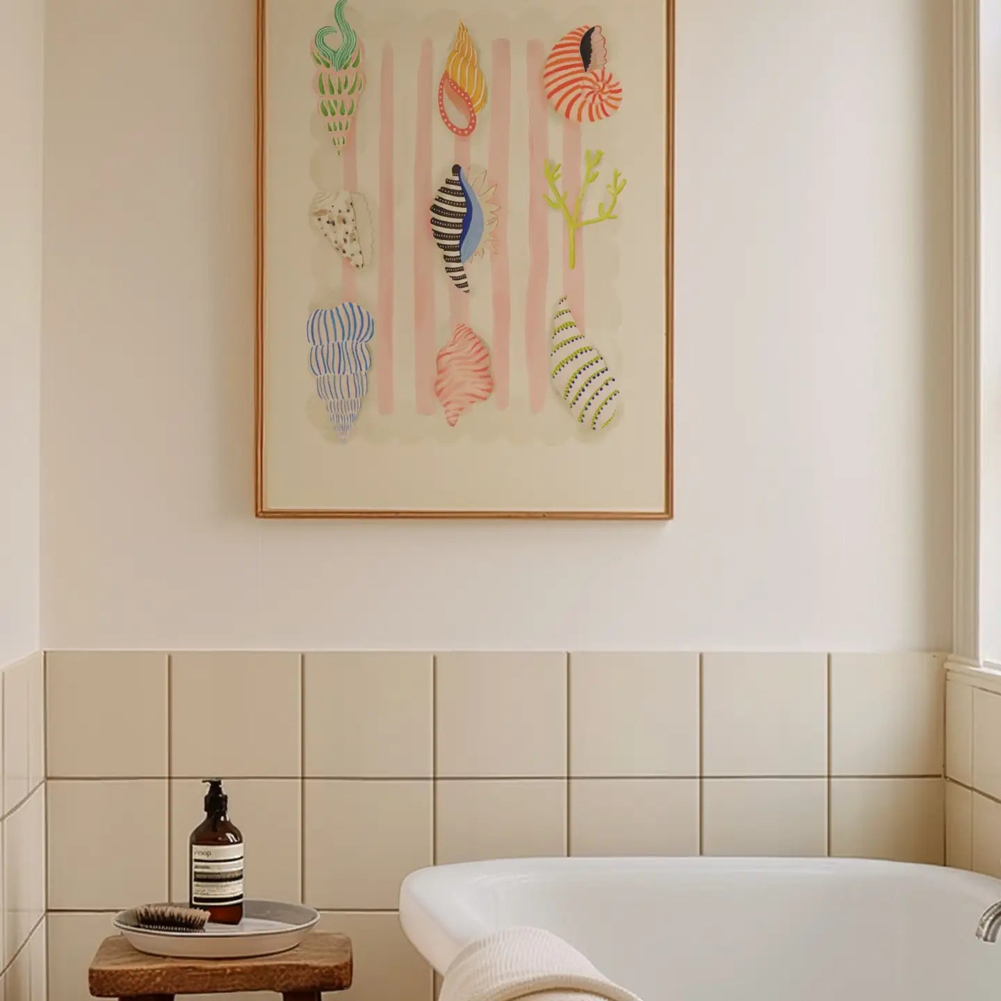 Ilustración Conchas