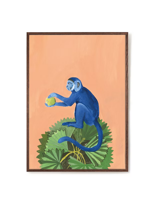 Ilustración monito azul con coco A3