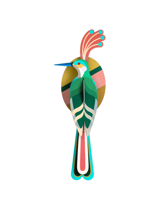 Paradise Bird - Nias