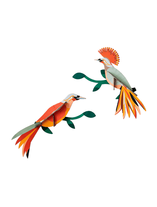 Paradise Bird - Obi