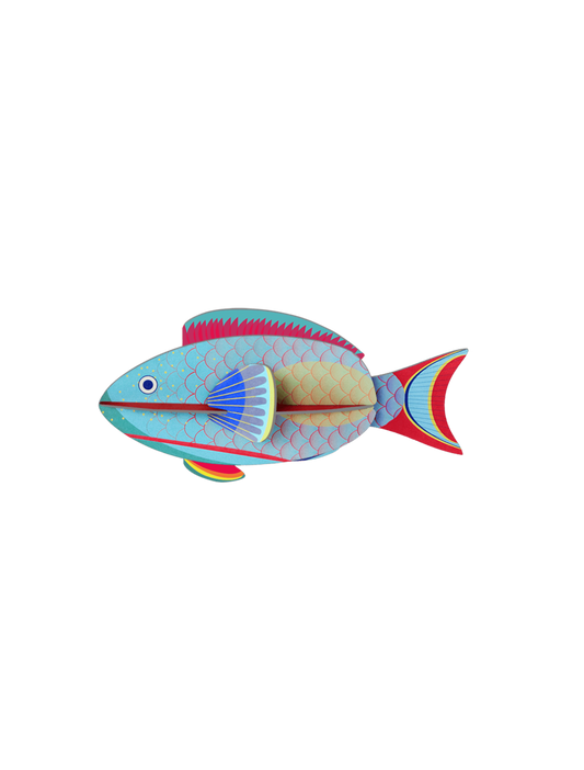 Small Sea Creature - Parrotfish