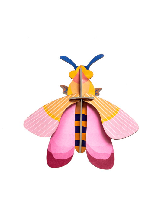Small Insects - Pink bee