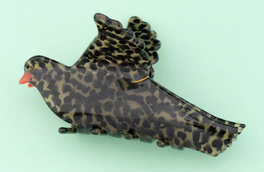 Pinza Pájaro Zorzal